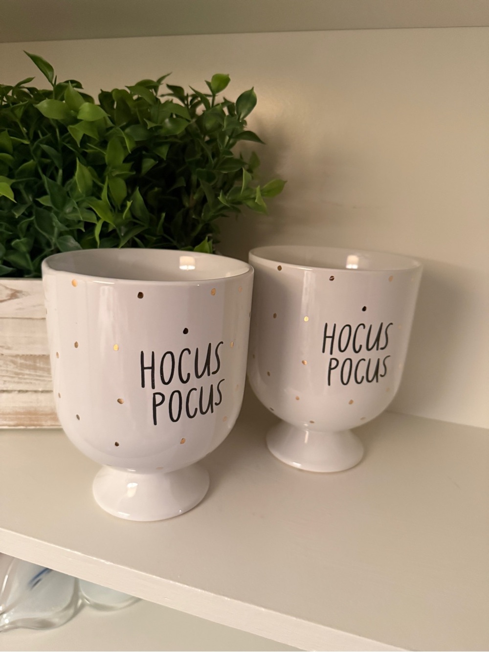Hocus Pocus -  Fearful Phrases Planter Pot  Halloween White  Gold Ceramic - Picture 2 of 10